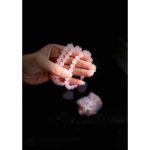 Rose quartz healing Barcelet - Image 2